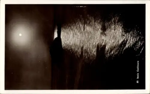 Ak Isola Gallinara Liguria, Meer im Mondschein