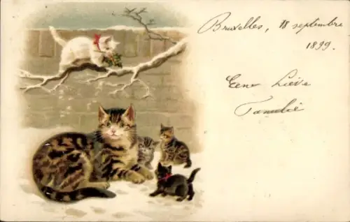 Litho Katzen im Schnee, Kätzchen