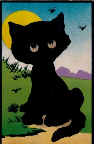 Ak Schwarze Katze, Insekten