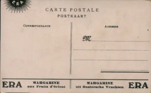 Ak Schwarze Katze, Insekten