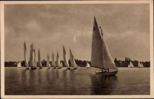Ak Segelregatta auf dem Bodensee