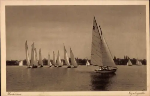 Ak Segelregatta am Bodensee