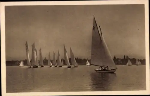 Ak Segelregatta auf dem Bodensee, Segelboote
