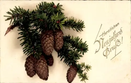 Ak Herzlichen Neujahrsgruß, Tannenzweig mit Zapfen