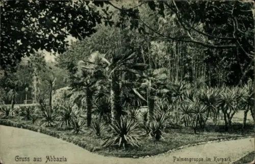 Ak Opatija Abbazia Kroatien, Gruss aus  Palmengruppe im Kurpark