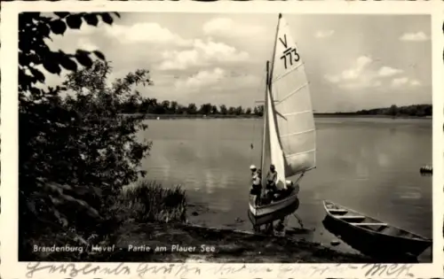 Ak Plaue Brandenburg an der Havel, Plauer See, Segelboot