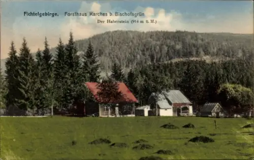 Ak Bischofsgrün im Fichtelgebirge, Fichtelgebirge, Forsthaus Karches, Der Haberstein, Wald, Wiese