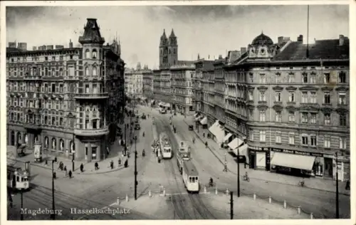 Ak Magdeburg an der Elbe, Hasselbachplatz, Straßenbahnen