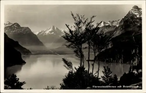 Ak Vierwaldstättersee Kanton Uri,  Bristenstock, Berge, Wasser, Schwarz-Weiß