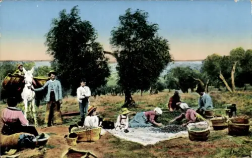 Ak Sevilla Andalusien, Spanische Bauern, Ernte, Körbe