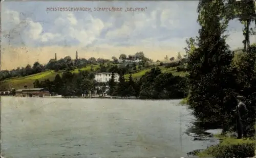 Ak Meisterschwanden Kanton Aargau,  Schifflande, Delphin, Seeansicht, Natur