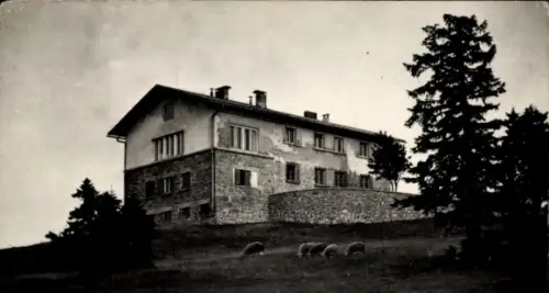 Ak Ribnica na Pohorju Slowenien, Ribniška koča, Hütte