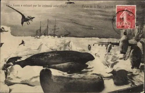 Ak Le Gauss entouré par les animaux antarchtiques, Palais de la Mer, Section Allemande, Schiff