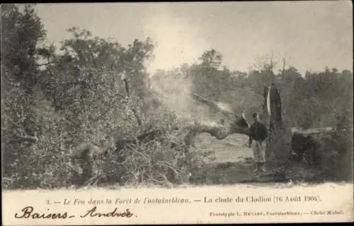 Ak Fontainebleau Seine et Marne, Le feu dans la Foret, La Chute du Clodion, 1904