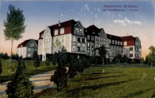 Ak Gryfów Śląski Greiffenberg Schlesien, Sanatorium Birkenhof,  Schlesien, 