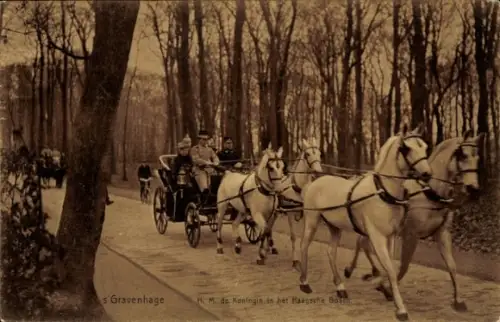 Ak 's Gravenhage Den Haag Südholland, Haagsche Bosch, Königin der Niederlande, Kutsche, Pferde