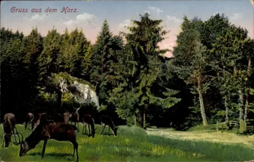 Ak Gruß aus dem Harz, Hirsche am Waldrand