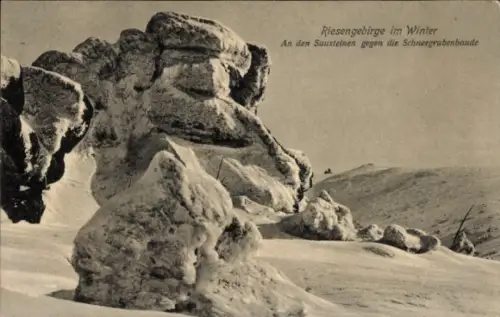 Ak Szklarska Poręba Schreiberhau Riesengebirge Schlesien, Trzy Świnki, Sausteine, Schneegrubenbaude