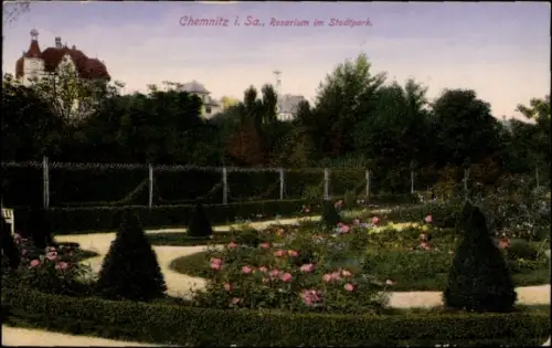 Ak Chemnitz in Sachsen, Rosarium im Stadtpark