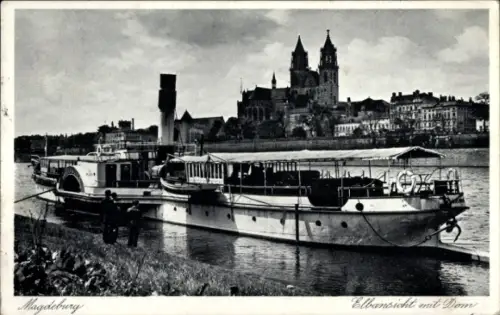 Ak Magdeburg an der Elbe, Schiff MS Tangermünde, Elbansicht, Dom