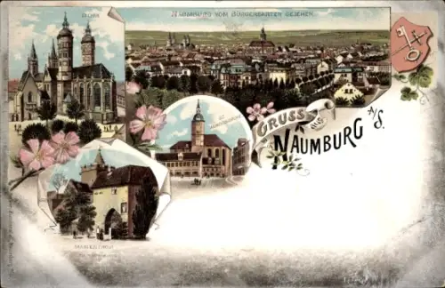 Litho Naumburg an der Saale, Dom, St. Wenzelskirche, Marientor, Totalansicht