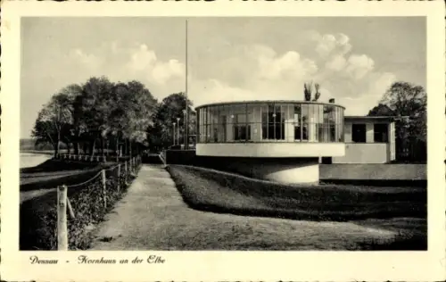 Ak Dessau in Sachsen Anhalt, Kornhaus an der Elbe