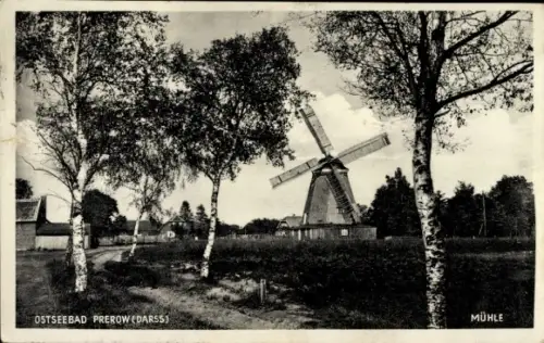 Ak Ostseebad Prerow auf dem Darß, Windmühle