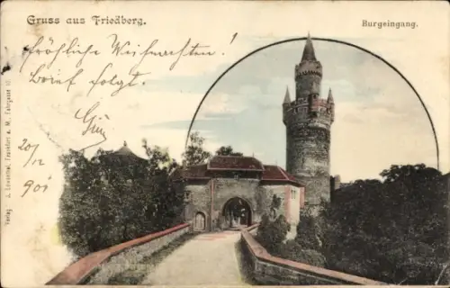 Ak Friedberg in Hessen, Burg Friedberg