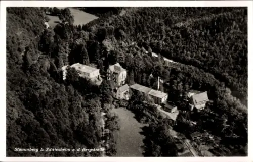 Ak Stammberg Schriesheim an der Bergstraße, Luftaufnahme von Stammberg, Schriesheim, Wald, Gebäud