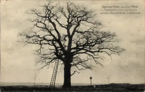 Ak Phlin Meurthe et Moselle, Deutsche Eiche