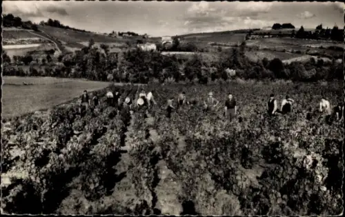 CPA Beaujolais Rhône, Scenes de Vendanges
