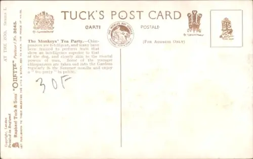 PC Schimpansen, The Monkeys' Tea Party