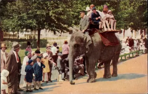 PC England, Elephants with Children