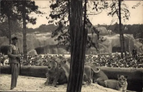Ak Paris XII Bois de Vincennes, Zoologischer Garten, Löwen, Tierpfleger, Zuschauer