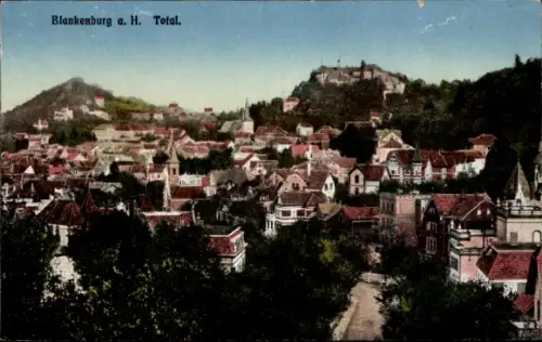 Ak Blankenburg am Harz, Blankenburg a. H., Stadtansicht, Hügel, Burgen