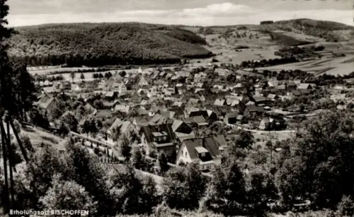 Ak Bischoffen in Hessen, Panorama