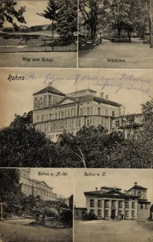 Ak Göttingen in Niedersachsen, Weg zum Rohns, Wäldchen