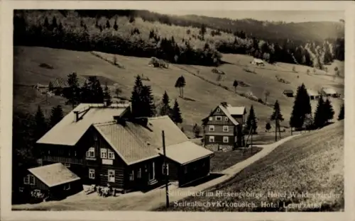 Ak Seifenbach Harrachov Harrachsdorf Riesengebirge Region Reichenberg, Hotel Waldesfrieden