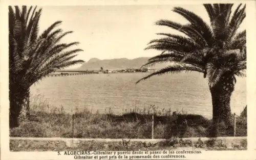 Ak Algeciras Andalusien,  Gibraltar, Hafenansicht, Palmen