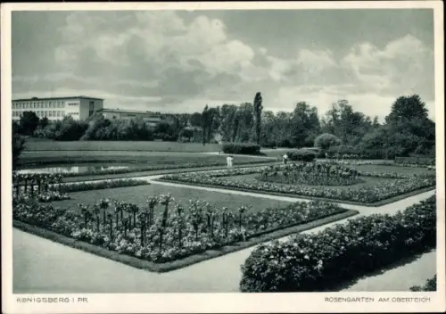 Ak Kaliningrad Königsberg Ostpreußen, Rosengarten, Oberteich