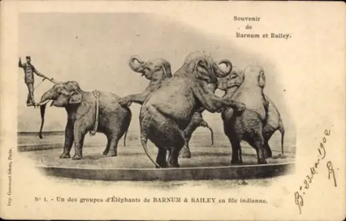 Ak Zirkus Barnum & Bailey, Un des groupes d'Éléphants, Elefanten
