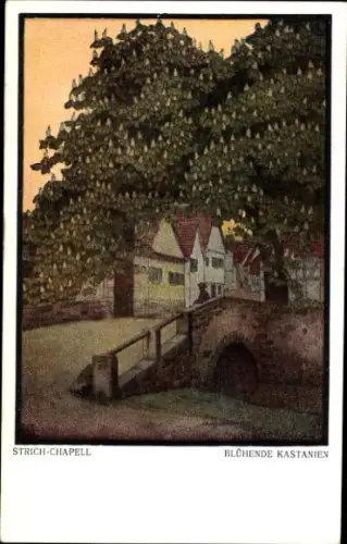 Künstler Ak Strich-Chapell, Blühende Kastanien