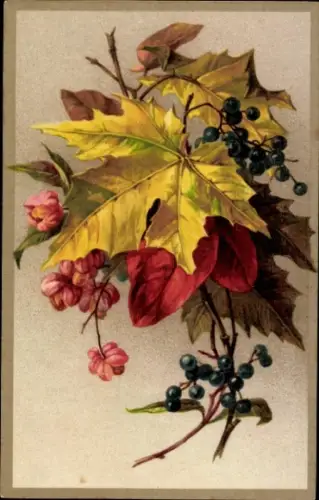 Künstler Ak Weinreben, Trauben