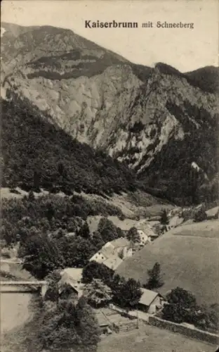 Ak Kaiserbrunn Reichenau an der Rax Niederösterreich, Gesamtansicht, Schneeberg