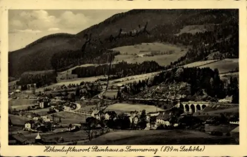 Ak Steinhaus am Semmering Steiermark, Gesamtansicht
