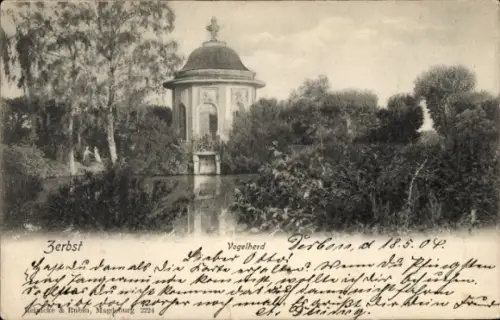 Ak Zerbst in Anhalt, Vogelherd, Wasser, Baum, Zerbst