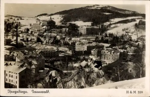 Ak Tanvald Tannwald Region Reichenberg, Schneebedeckte Landschaft,  H & M 559