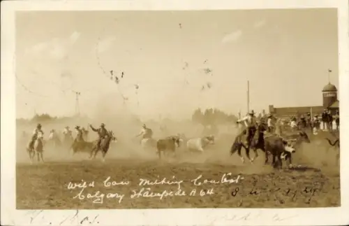 Foto Ak Nordamerika, Menschen zu Pferde, Vieh