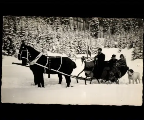 Foto Ak Schlittengespann, Pferde, Hund