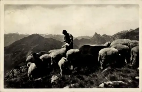 Ak Auf Seewis Alp, Schäfer